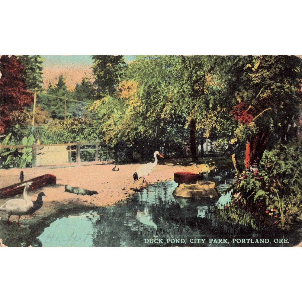 Vtg 1911 Portland Oregon City Park Duck Pond Postcard Benjamin Franklin Stamp - Picture 1 of 2